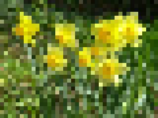 ImageProcessingWs/pointillize_1/screenshot.jpg